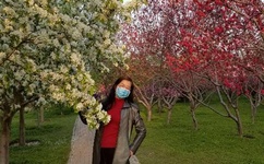 晃来晃去的巨峰